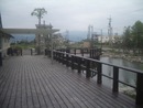 婆羅洲鐵木觀景台